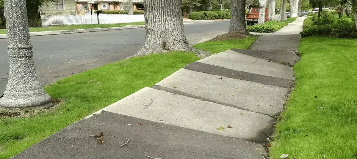 Sidewalk Repair