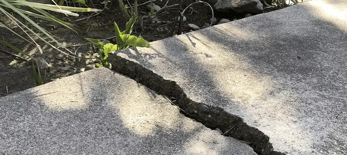 Crack and Damage Sidewalk Repair